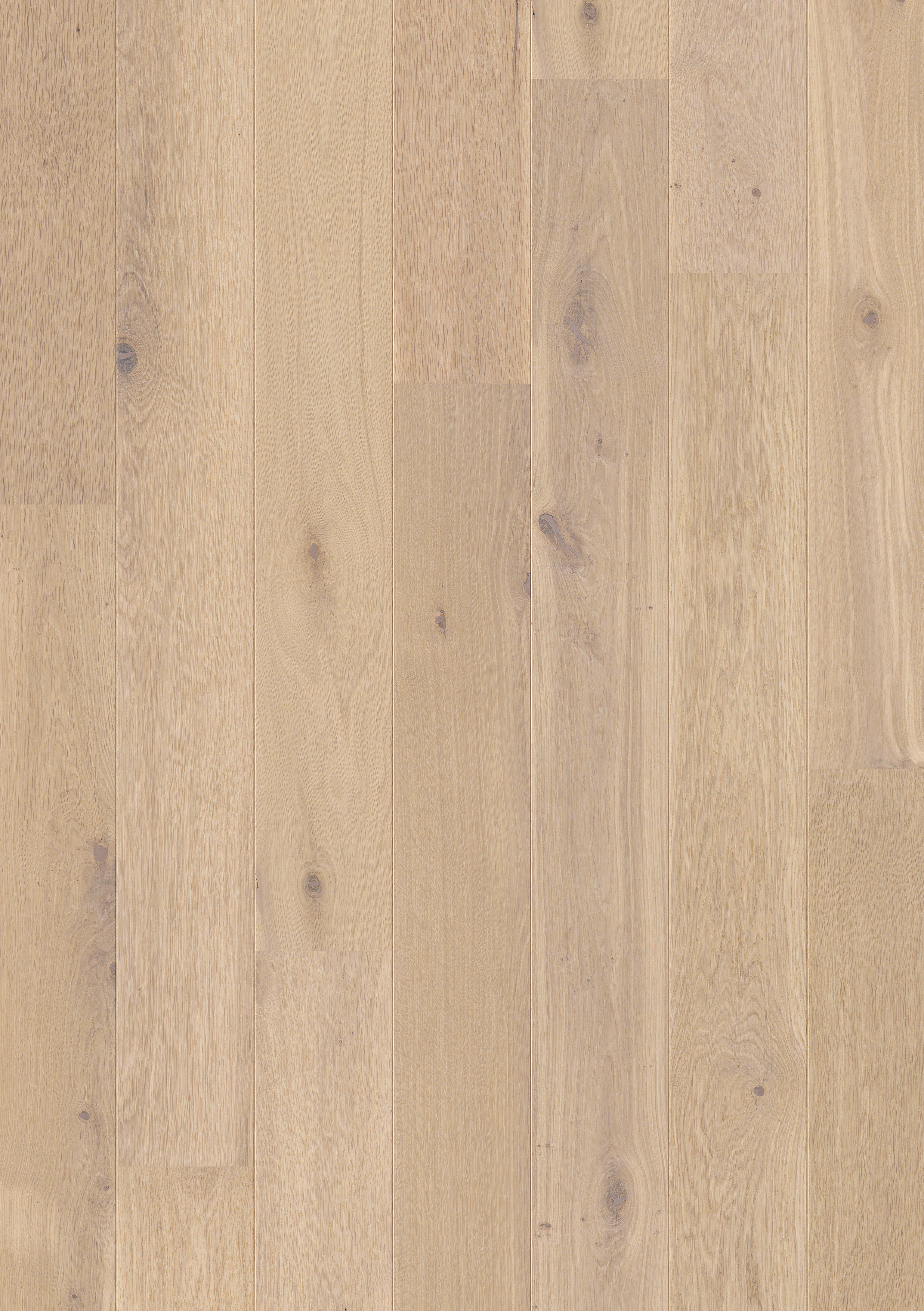 PAL3891 - QUICKSTEP PALAZZO OAT FLAKE WHITE OAK OILED