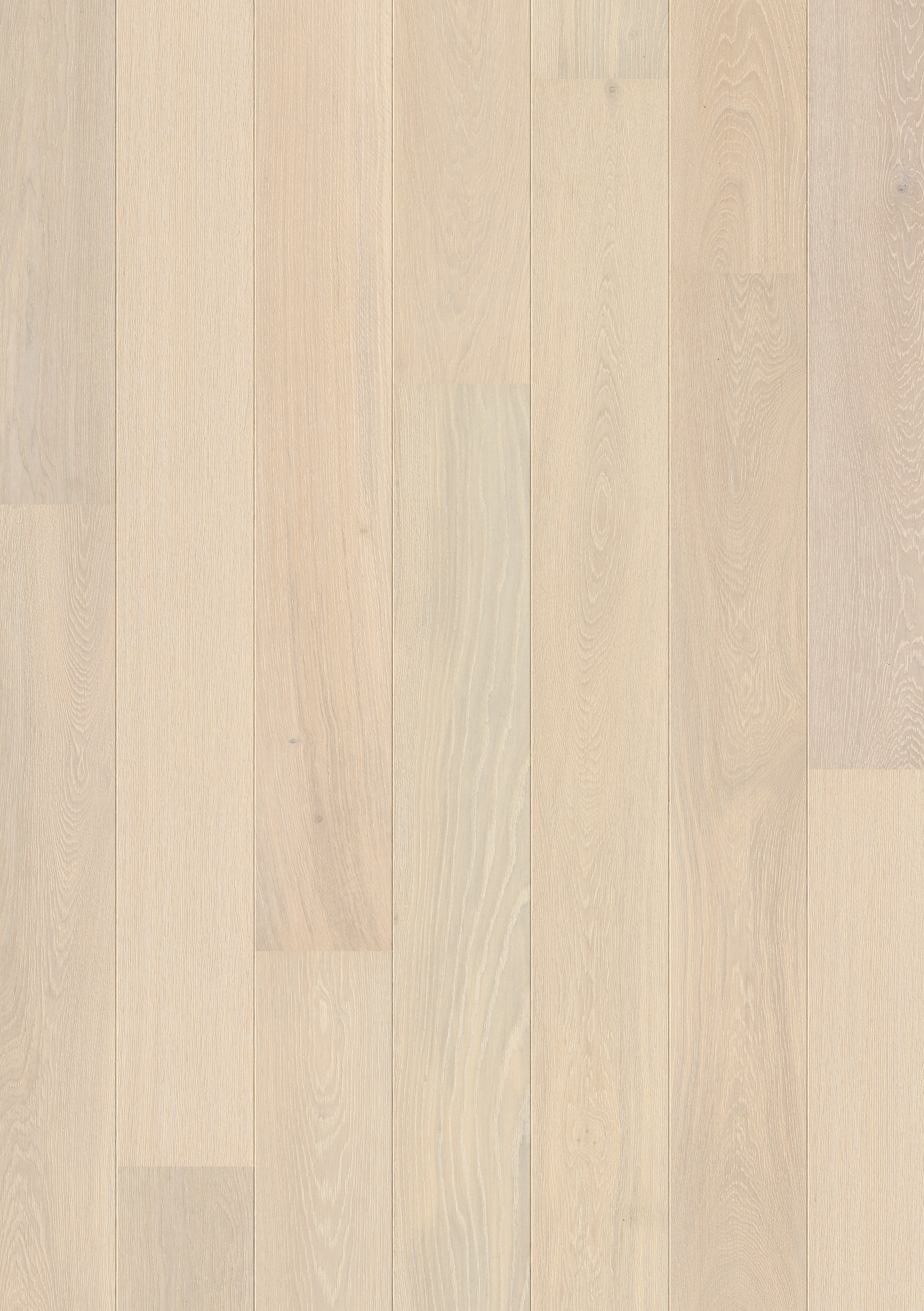 PAL3884 - QUICKSTEP PALAZZO SNOW WHITE OAK EXTRA MATT