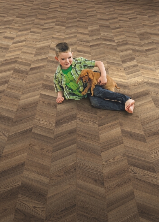 ELV283 - ELKA 8MM LAMINATE CHEVRON DESIGN STORM OAK INTERIOR