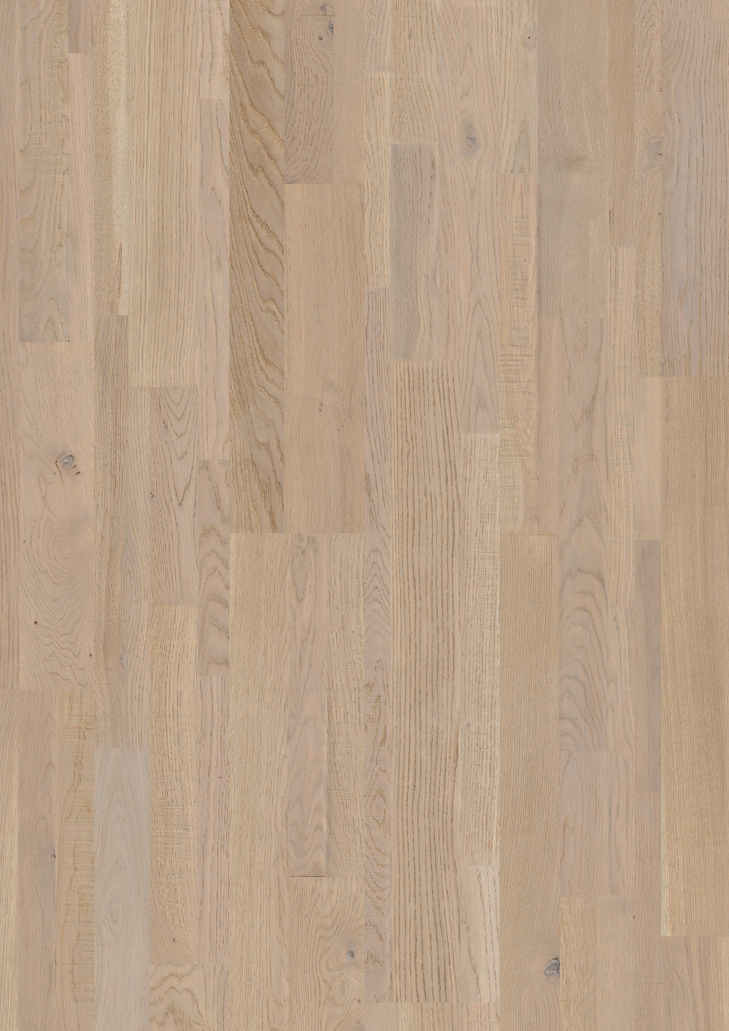 VAR3101 - QUICKSTEP VARIANO SEASHELL WHITE OAK EXTRA MATT