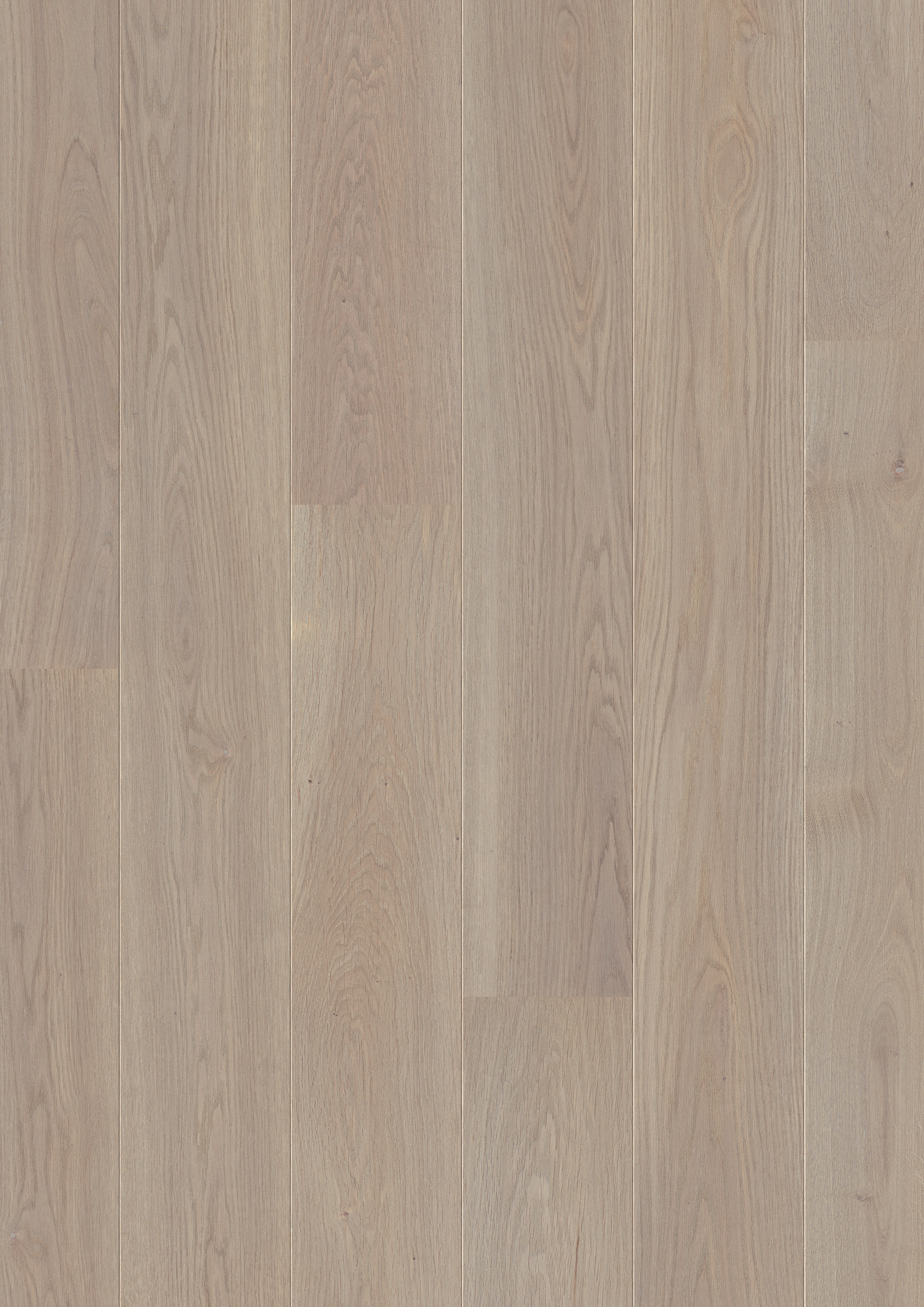 PAL3092 - QUICKSTEP PALAZZO FROSTED OAK OILED