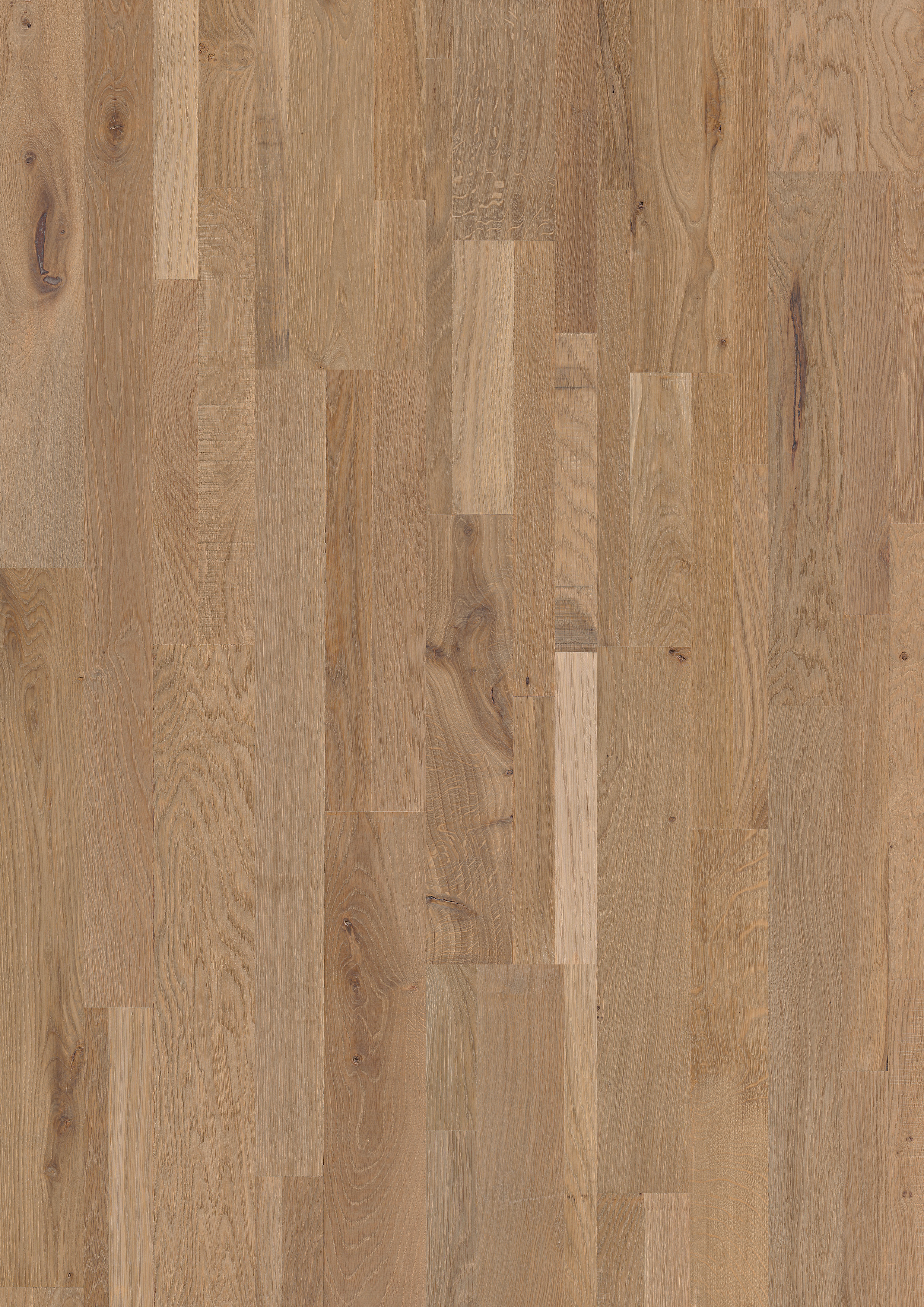 VAR1630 - QUICKSTEP VARIANO CHAMPAGNE BRUT OAK OILED