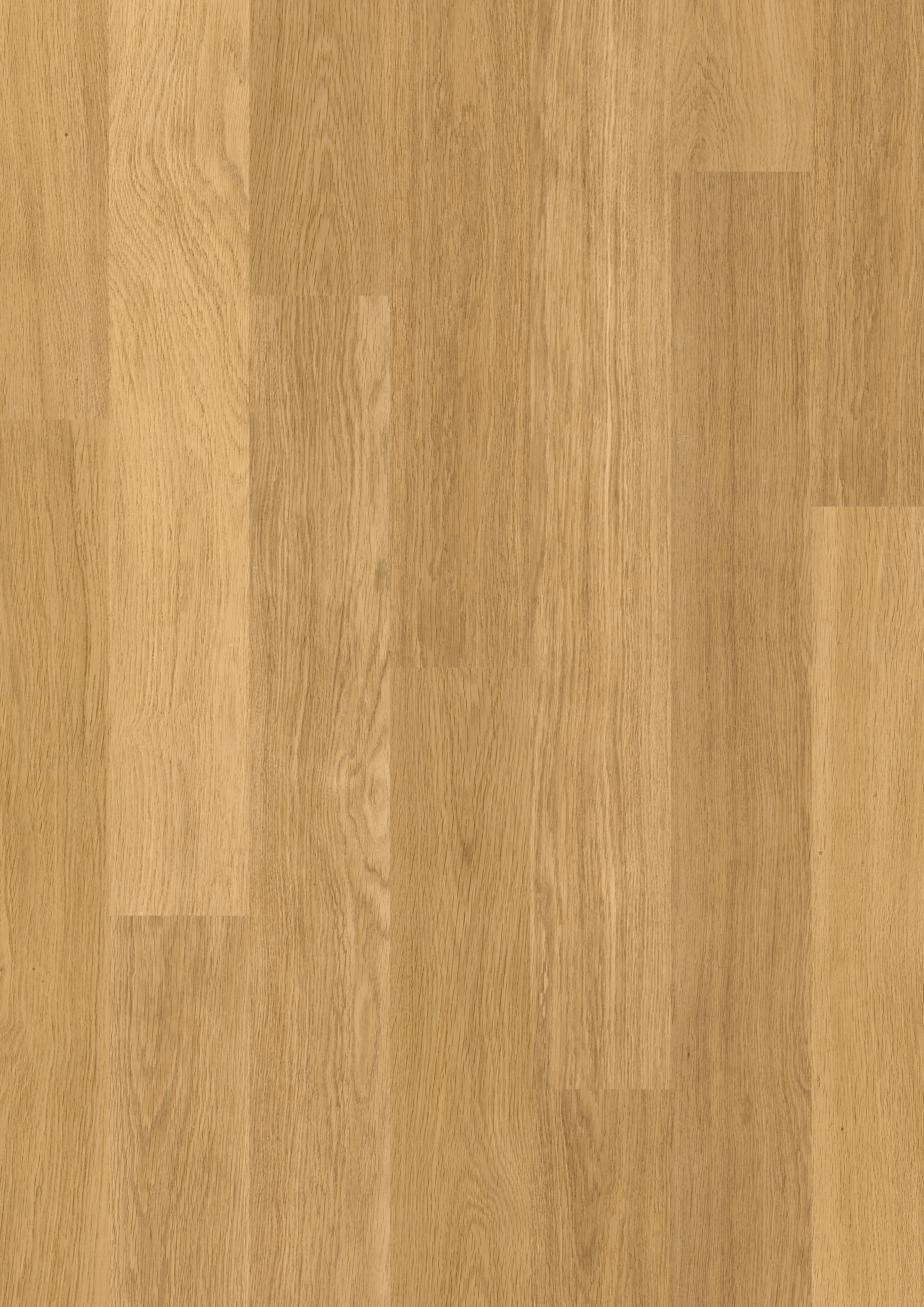 EL896 - QUICKSTEP ELIGNA NATURAL VARNISHED OAK