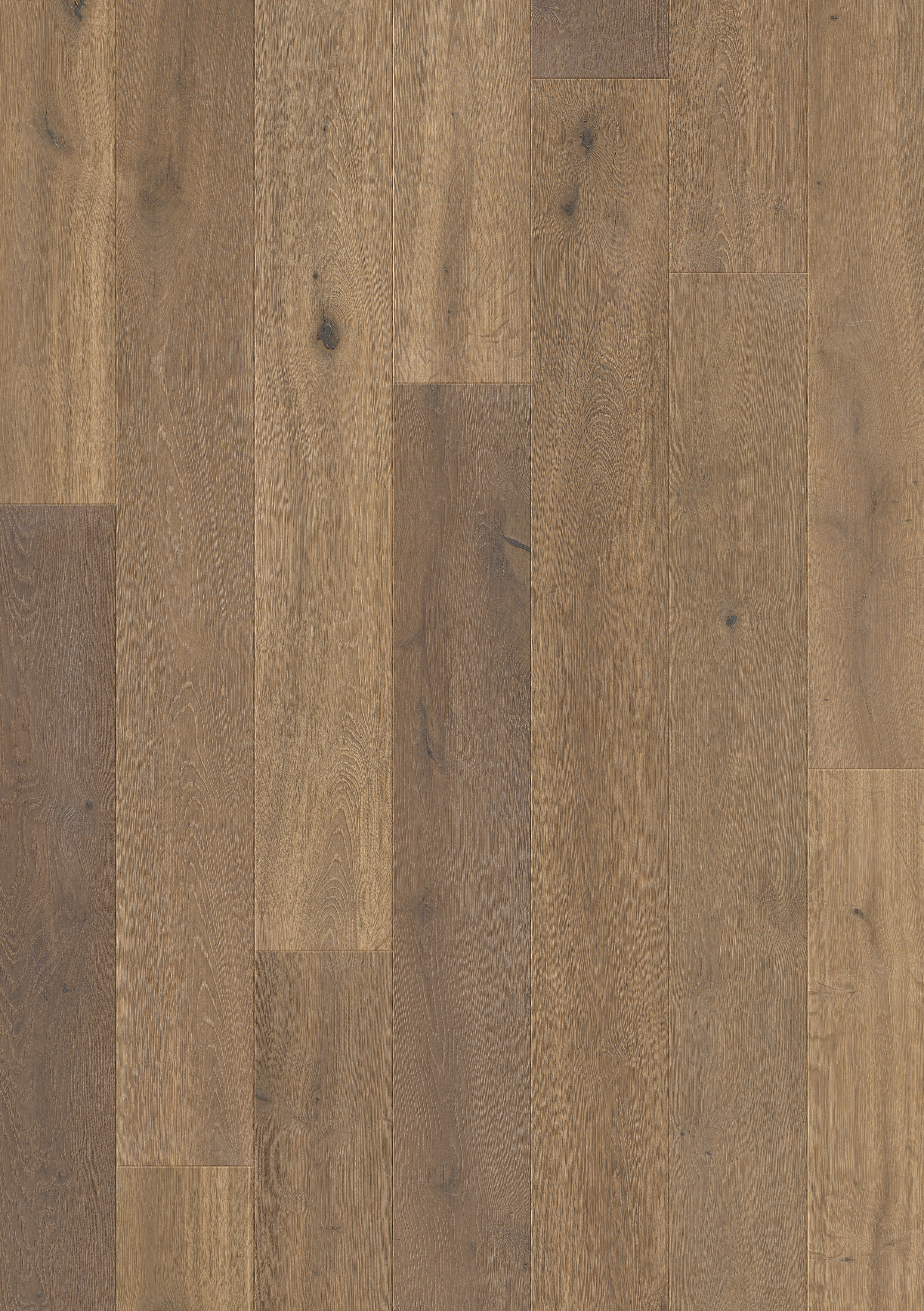 PAL3885 - QUICKSTEP PALAZZO LATTE OAK OILED