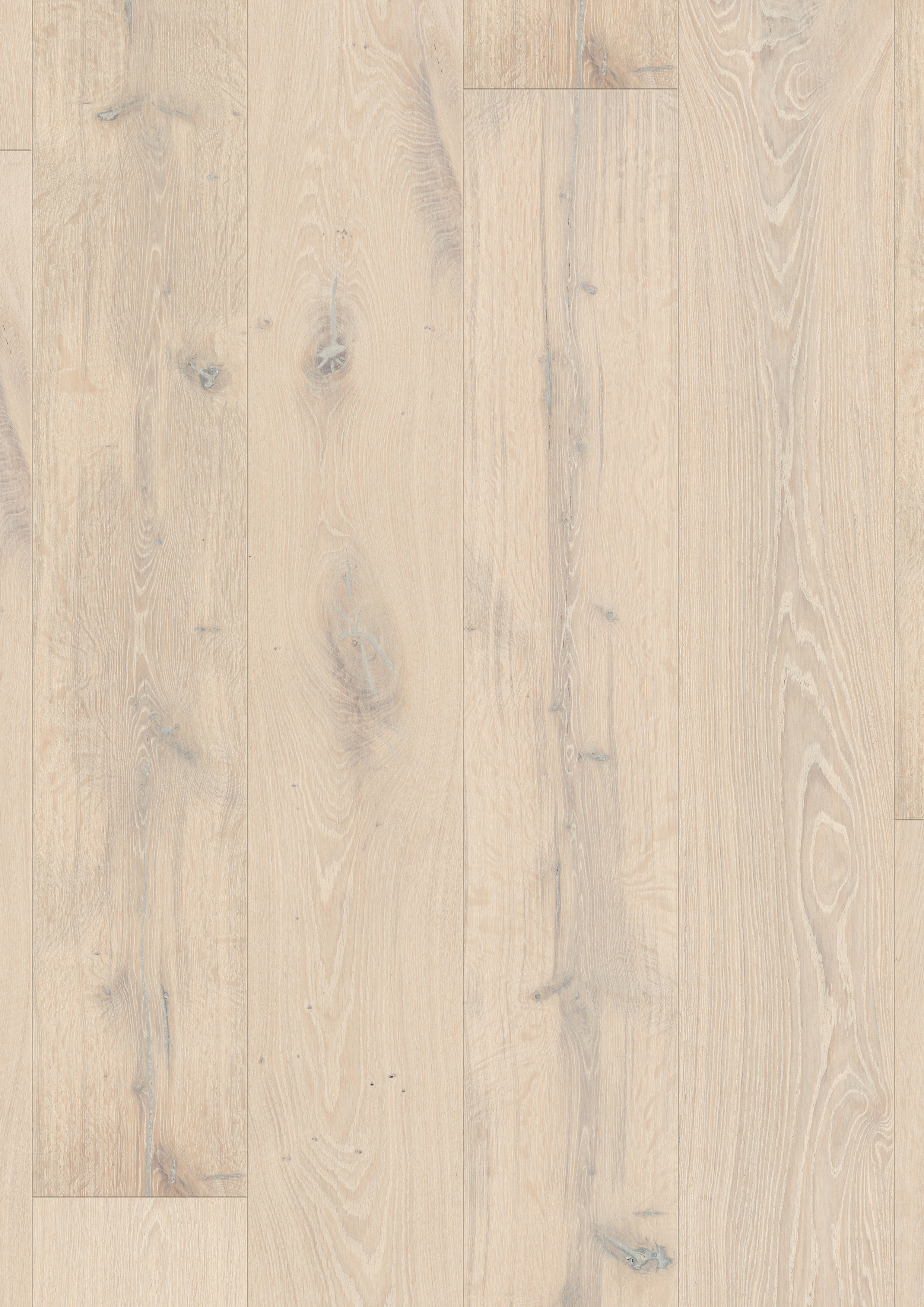 MAS3562 QUICKSTEP MASSIMO FROZEN OAK EXTRA MATT