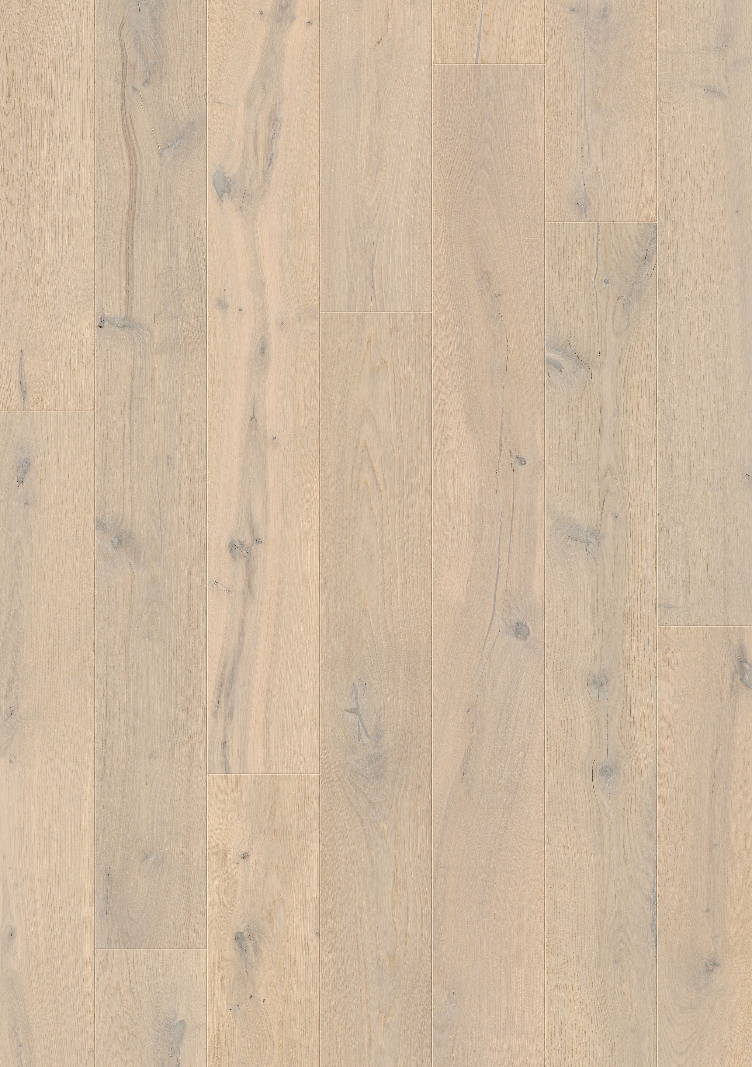 PAL3787 - QUICKSTEP PALAZZO GLACIAL OAK EXTRA MATT