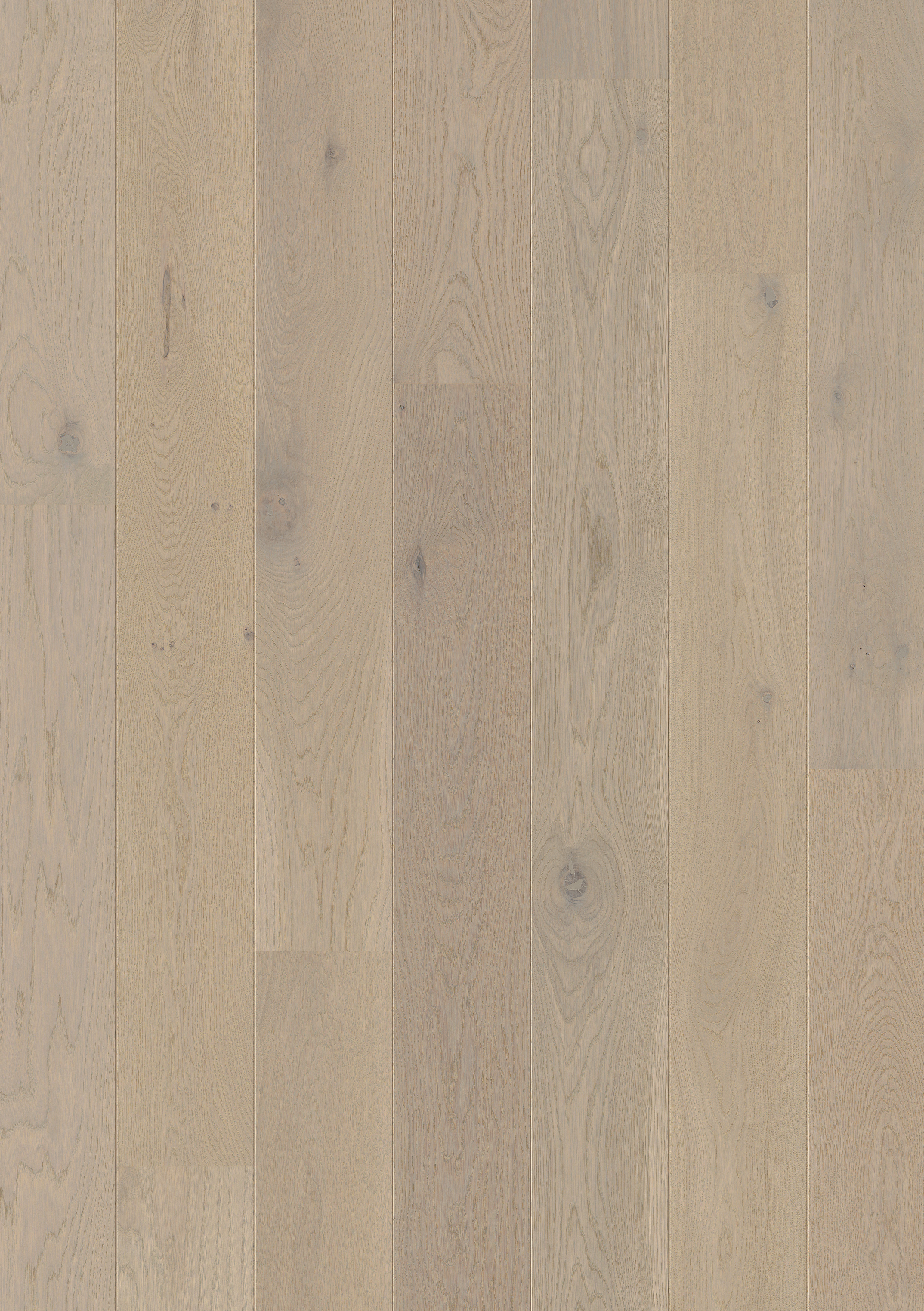 PAL3892 - QUICKSTEP PALAZZO SILVERY OAK EXTRA MATT