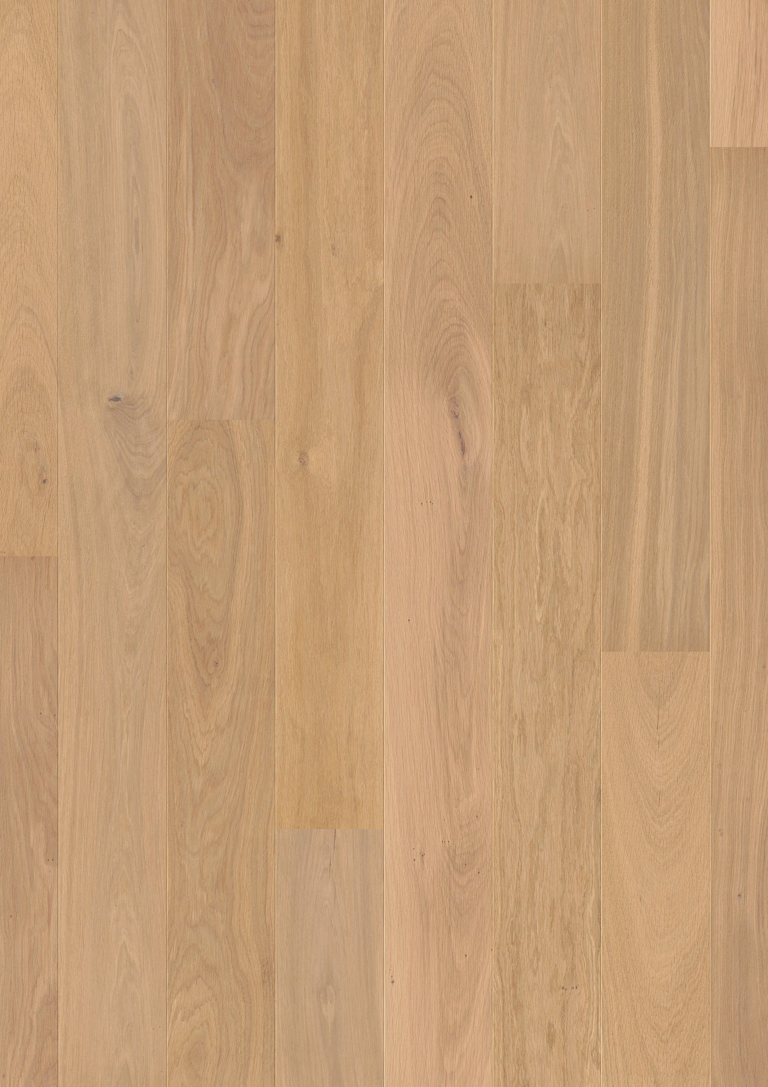 COM3100 - QUICKSTEP COMPACT OAK PURE EXTRA MATT