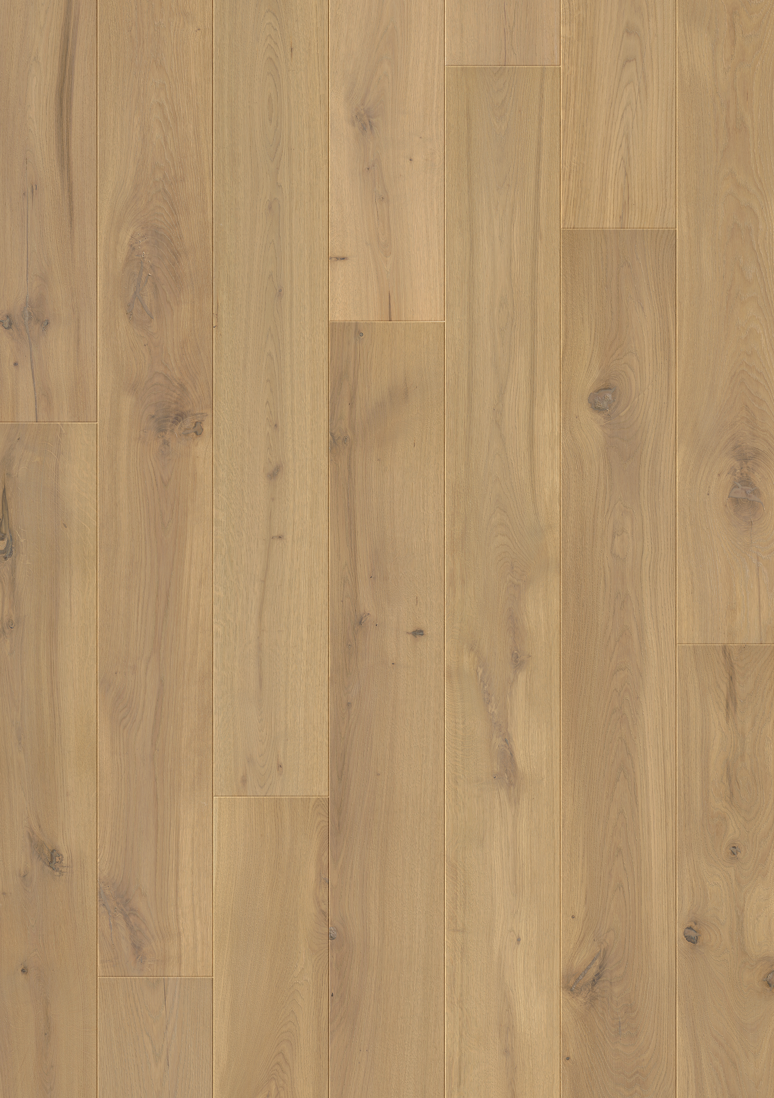 PAL3886 - QUICKSTEP PALAZZO SUMMER OAK EXTRA MATT