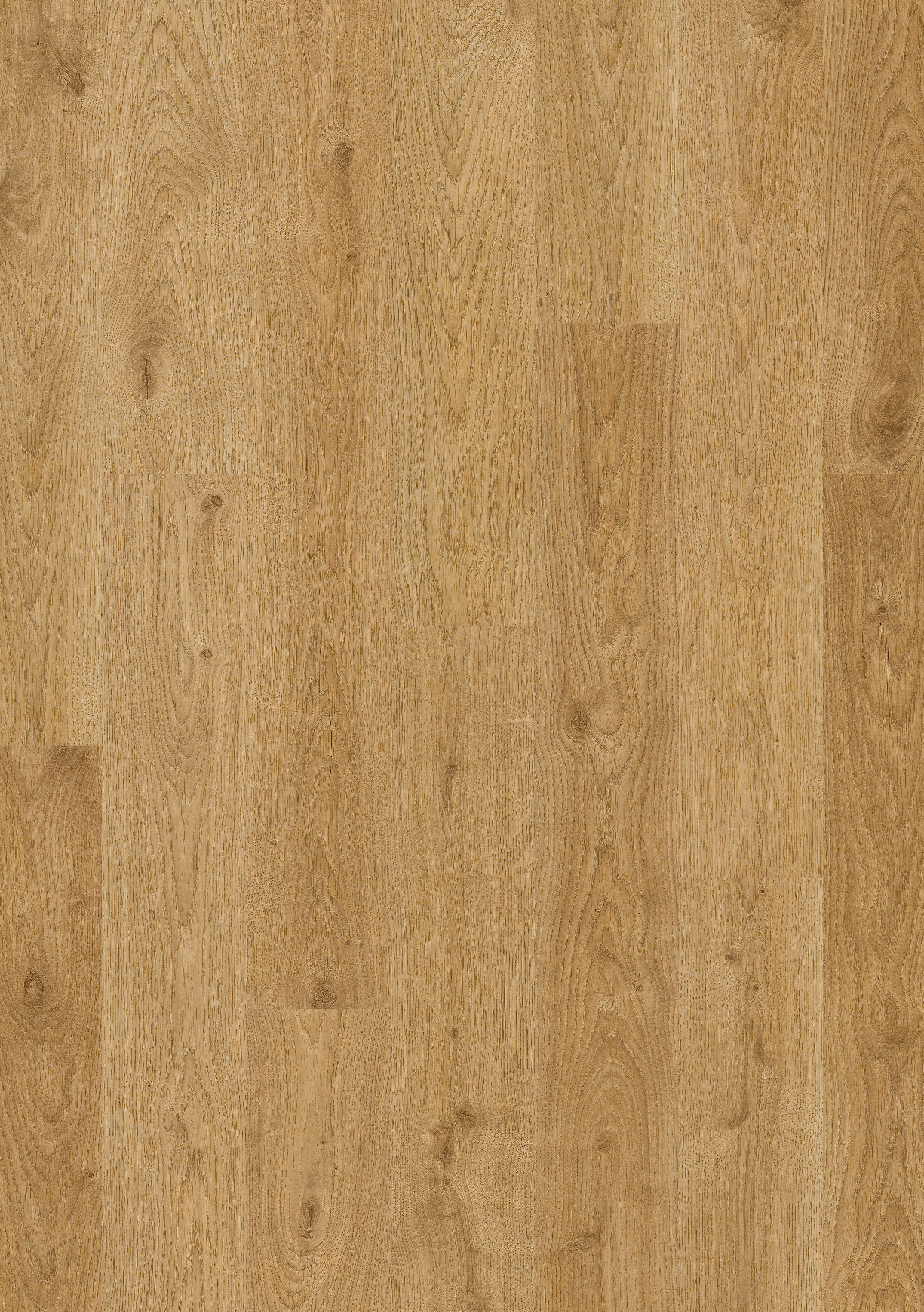 EL1491 - QUICKSTEP ELIGNA WHITE OAK LIGHT