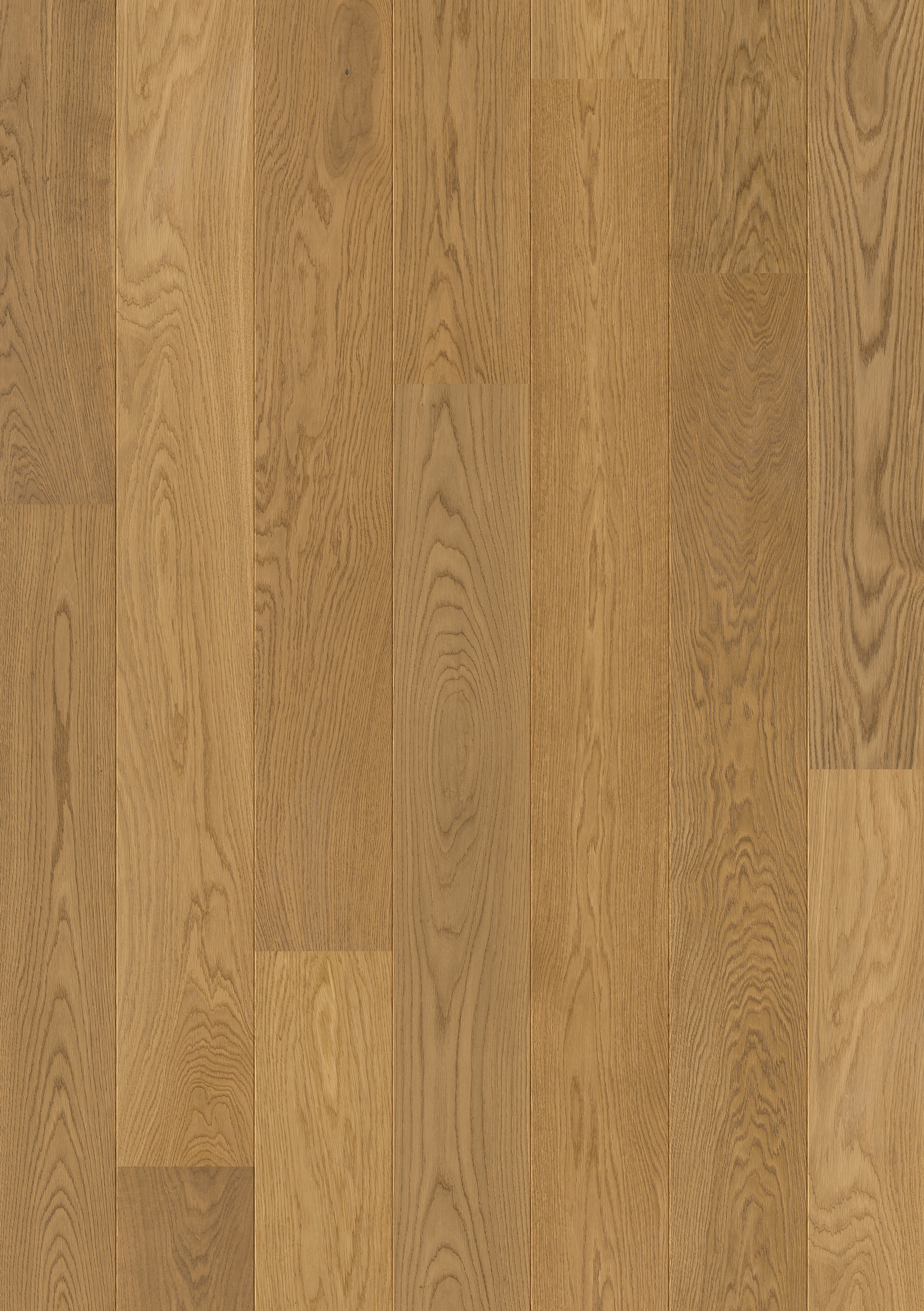 PAL3888 - QUICKSTEP PALAZZO GINGERBREAD OAK EXTRA MATT