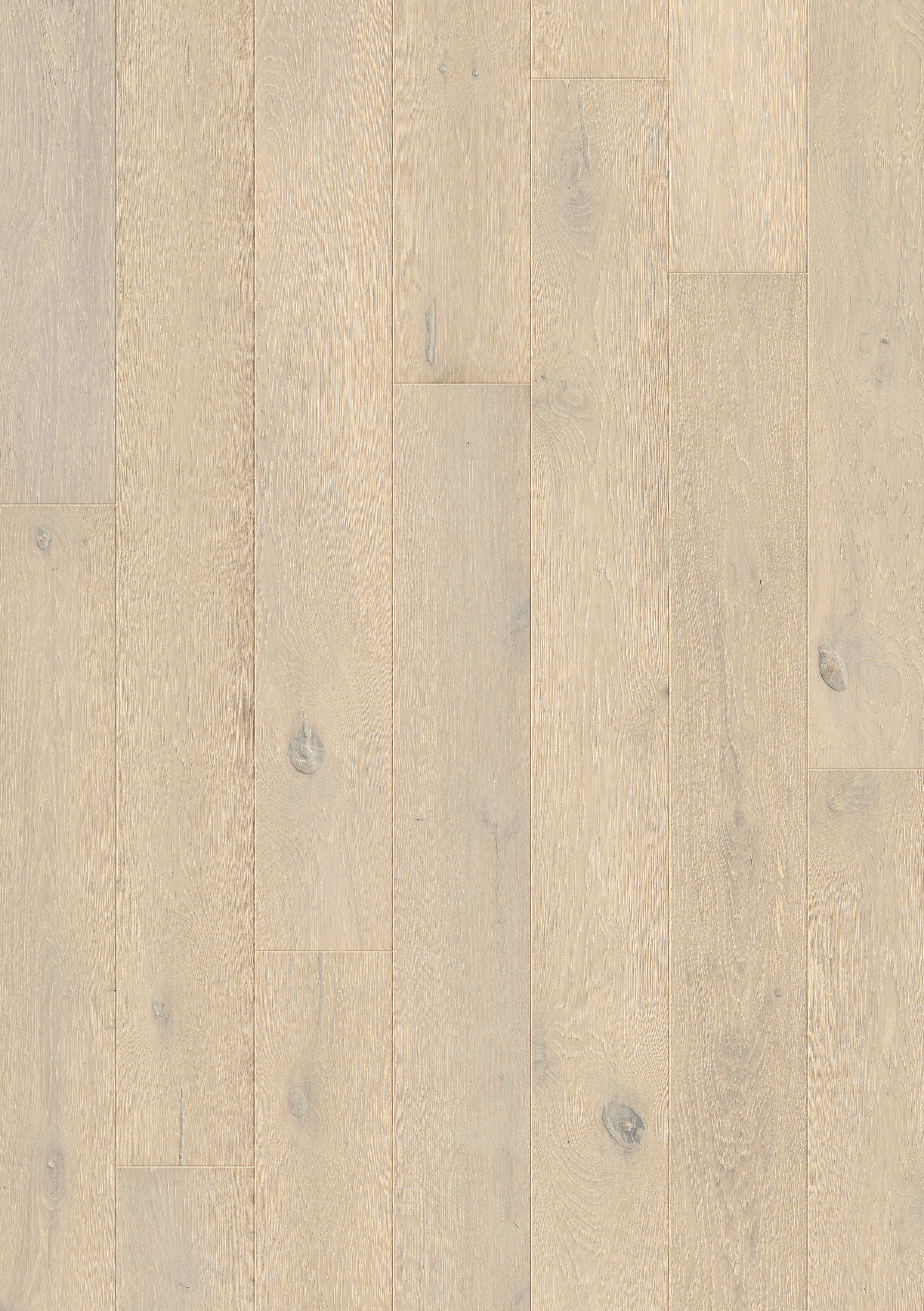 PAL3562 - QUICKSTEP PALAZZO FROZEN OAK EXTRA MATT