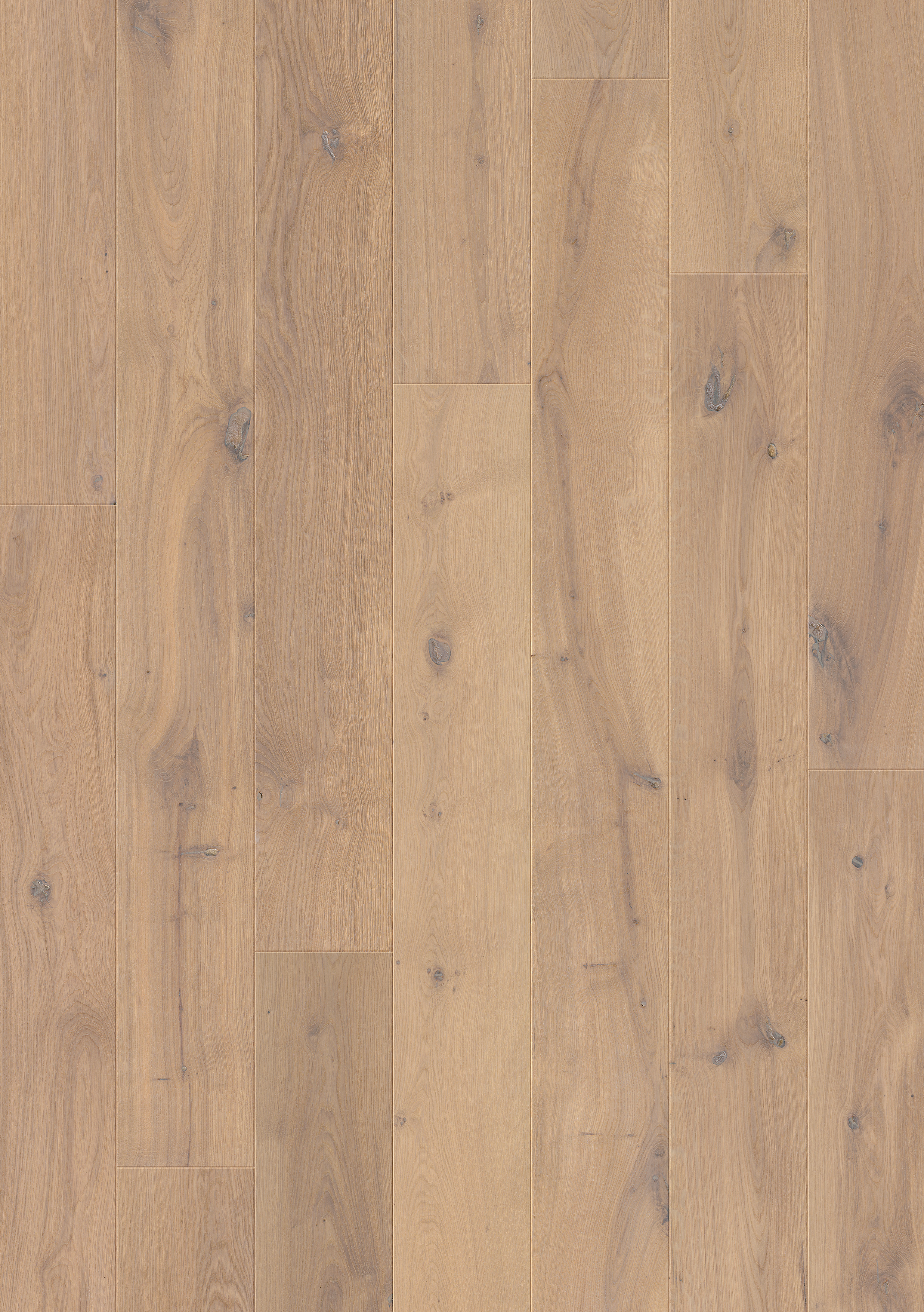 PAL3890 - QUICKSTEP PALAZZO SEABED OAK OILED