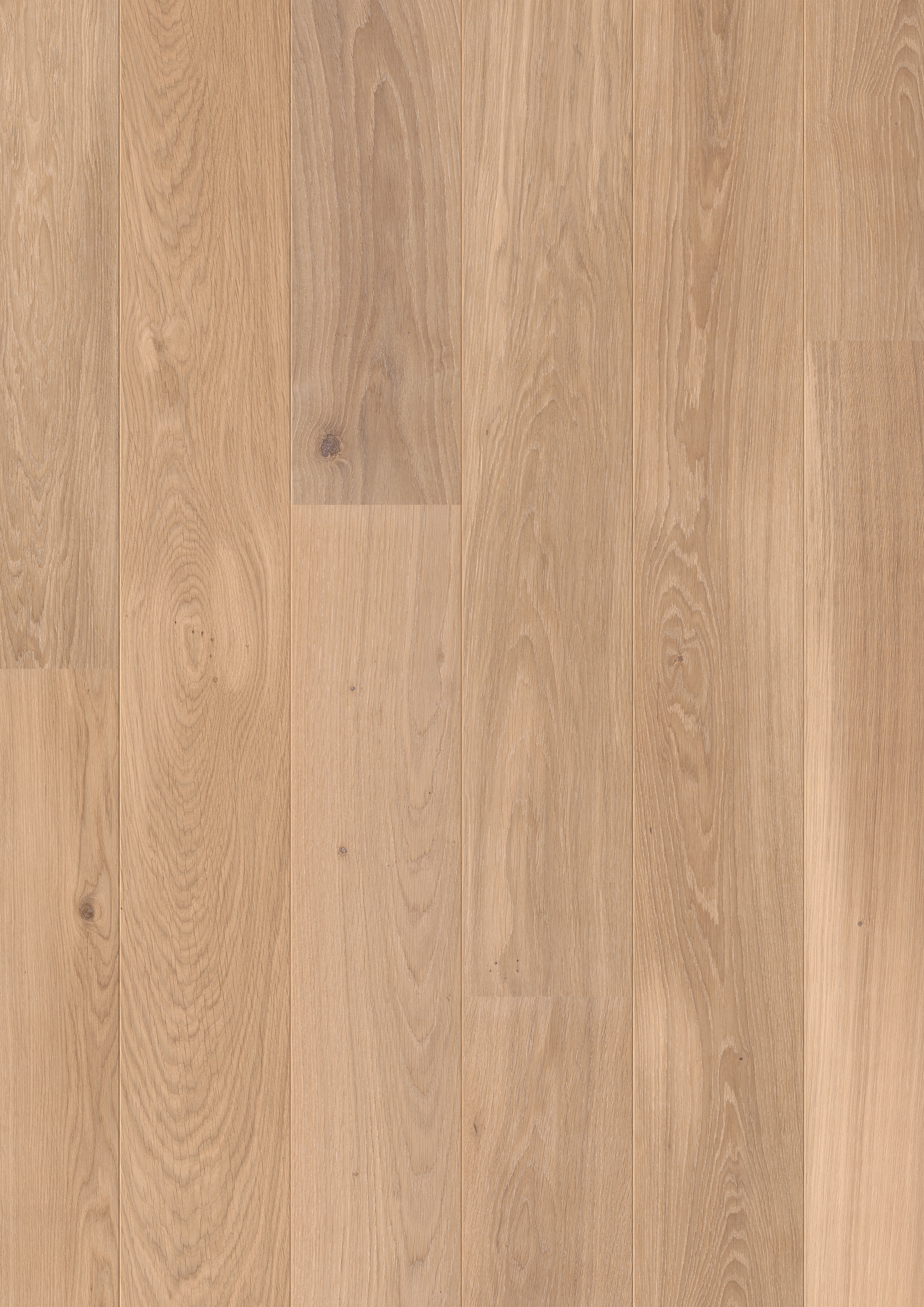 PAL1473 - QUICKSTEP PALAZZO DUNE WHITE OAK OILED