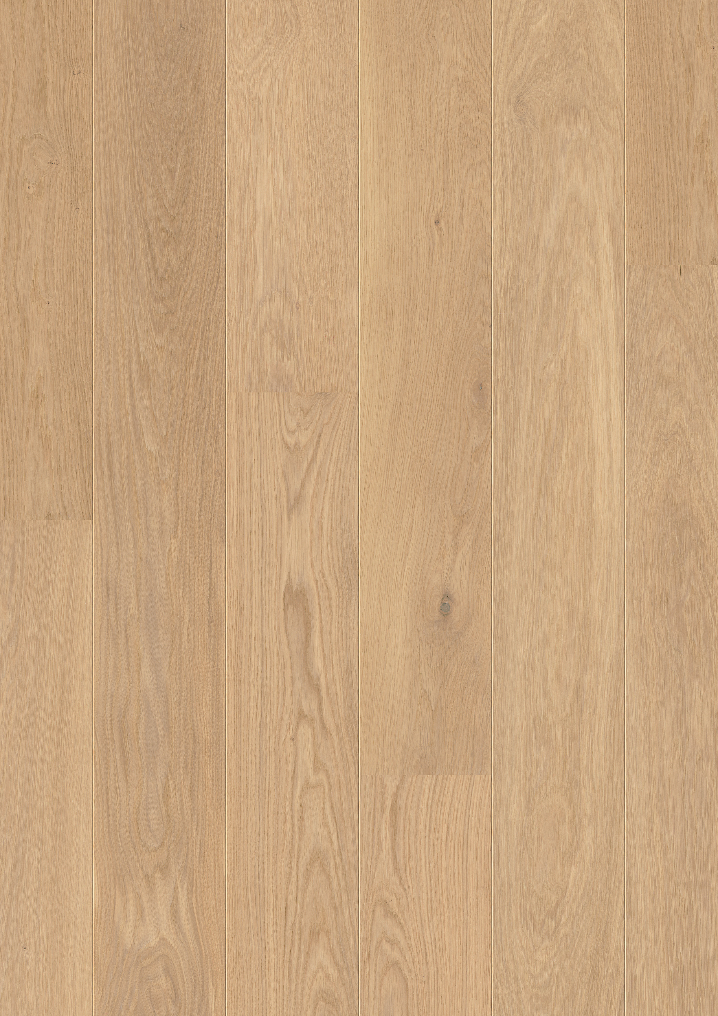 PAL3095 - REFINED OAK EXTRA MATT