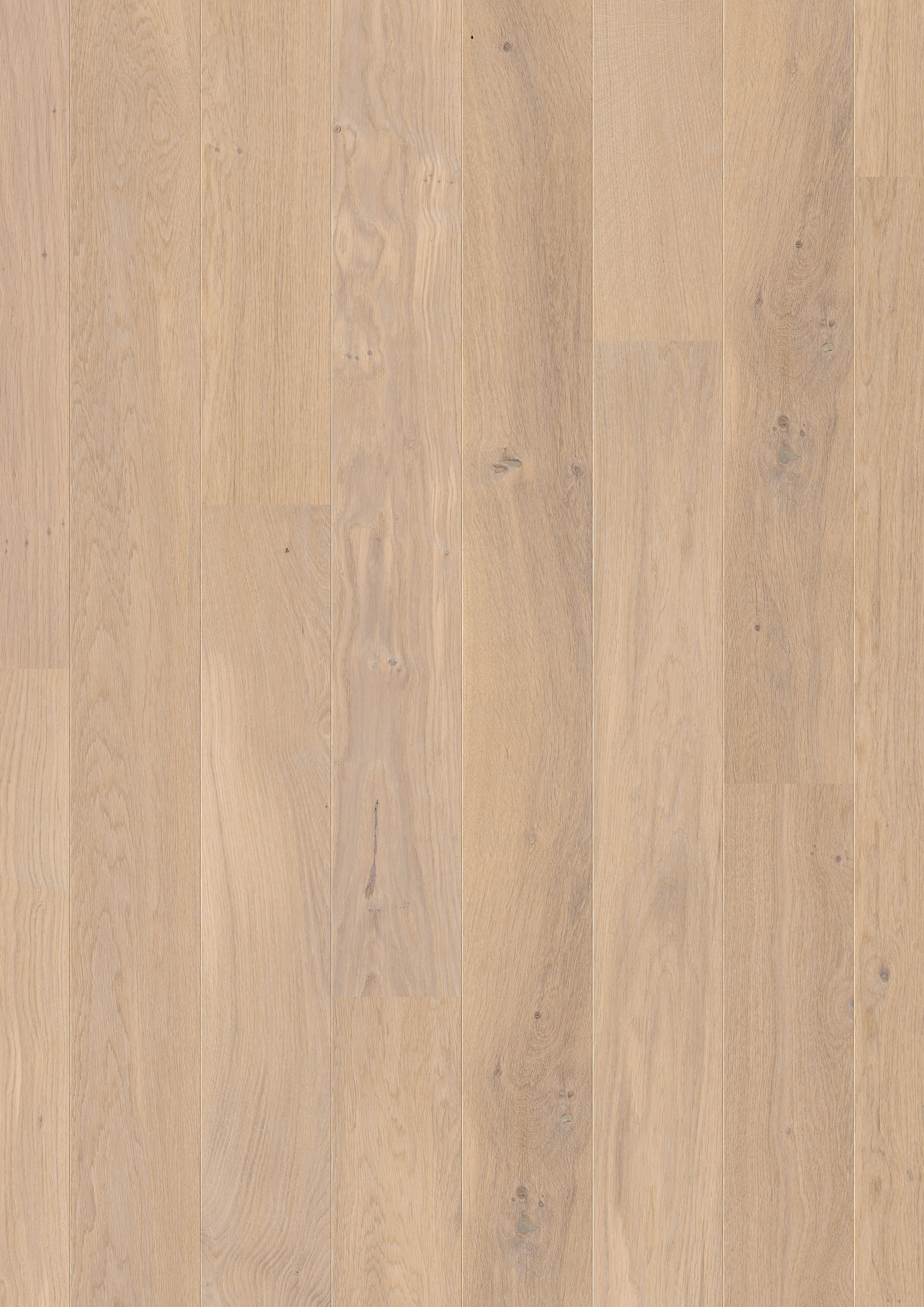 COM3908 - QUICKSTEP COMPACT OAK HIMALAYAN WHITE EXTRA MATT