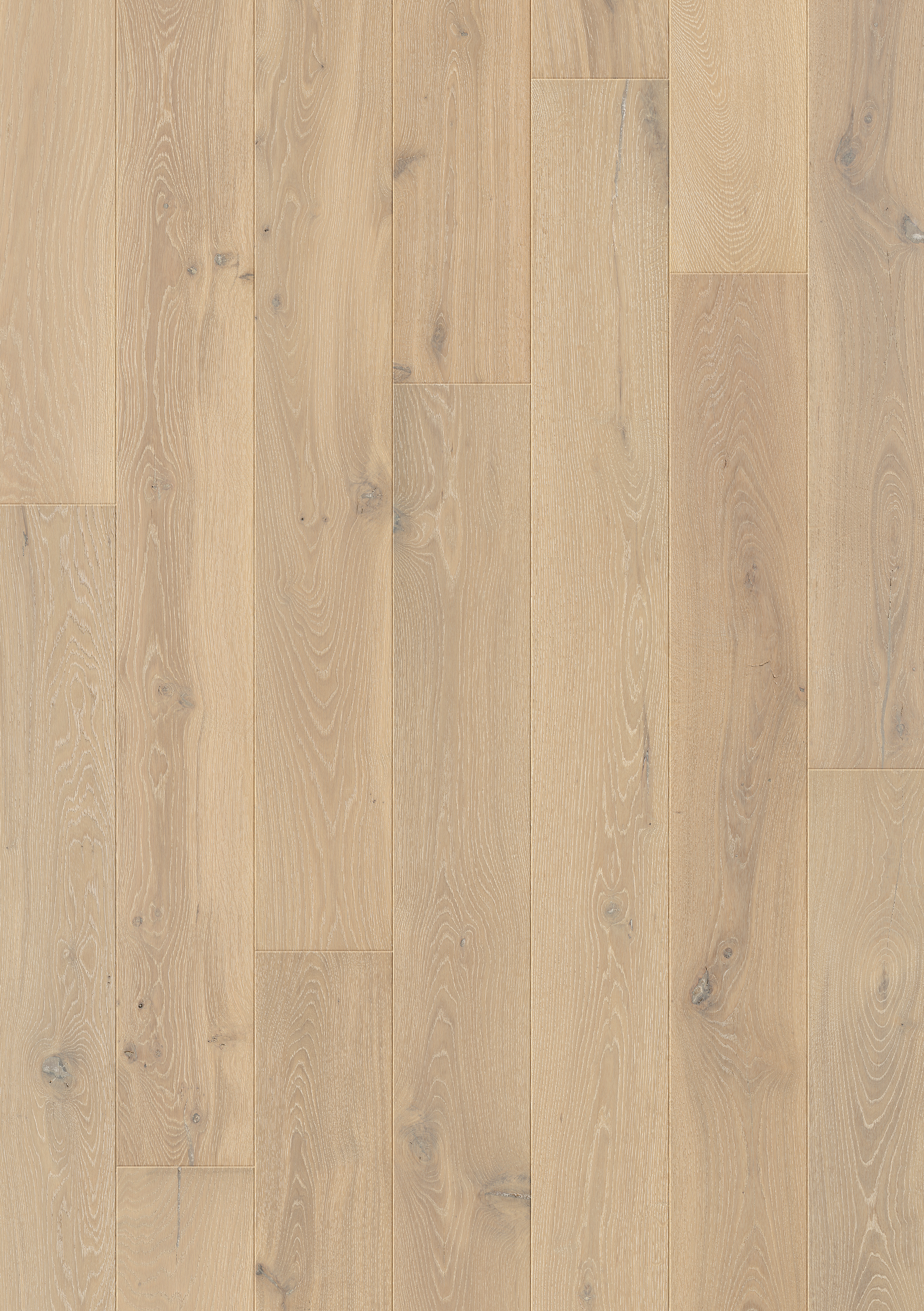 PAL3887 - QUICKSTEP PALAZZO LIME OAK EXTRA MATT